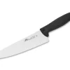 Due Cigni Chefmesser 415 20