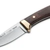 Muela Colibri Wood