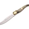Muela Curro-T Horn