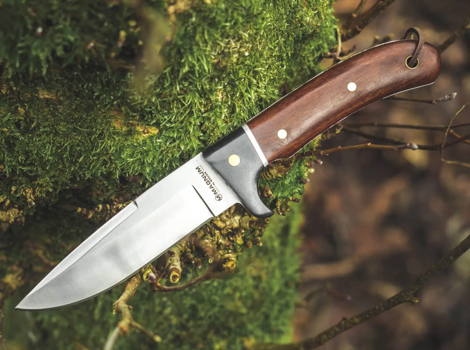 elk_hunter_special_1-1.webp Magnum Elk Hunter Special