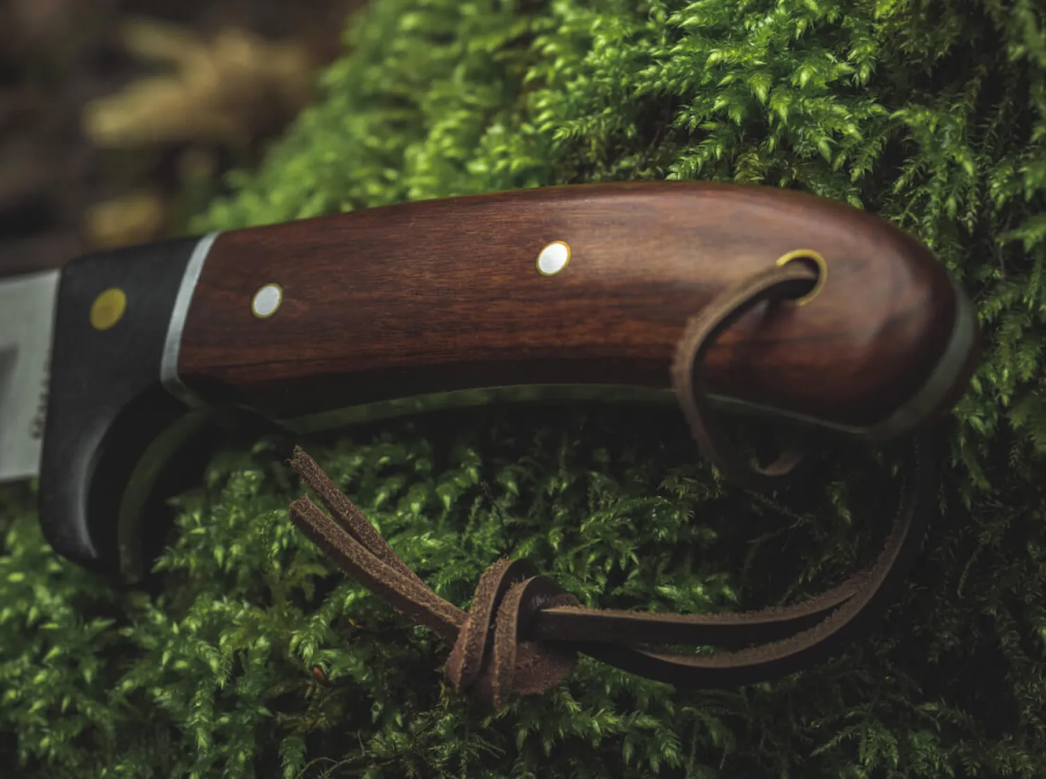 elk_hunter_special_3-1.webp Magnum Elk Hunter Special