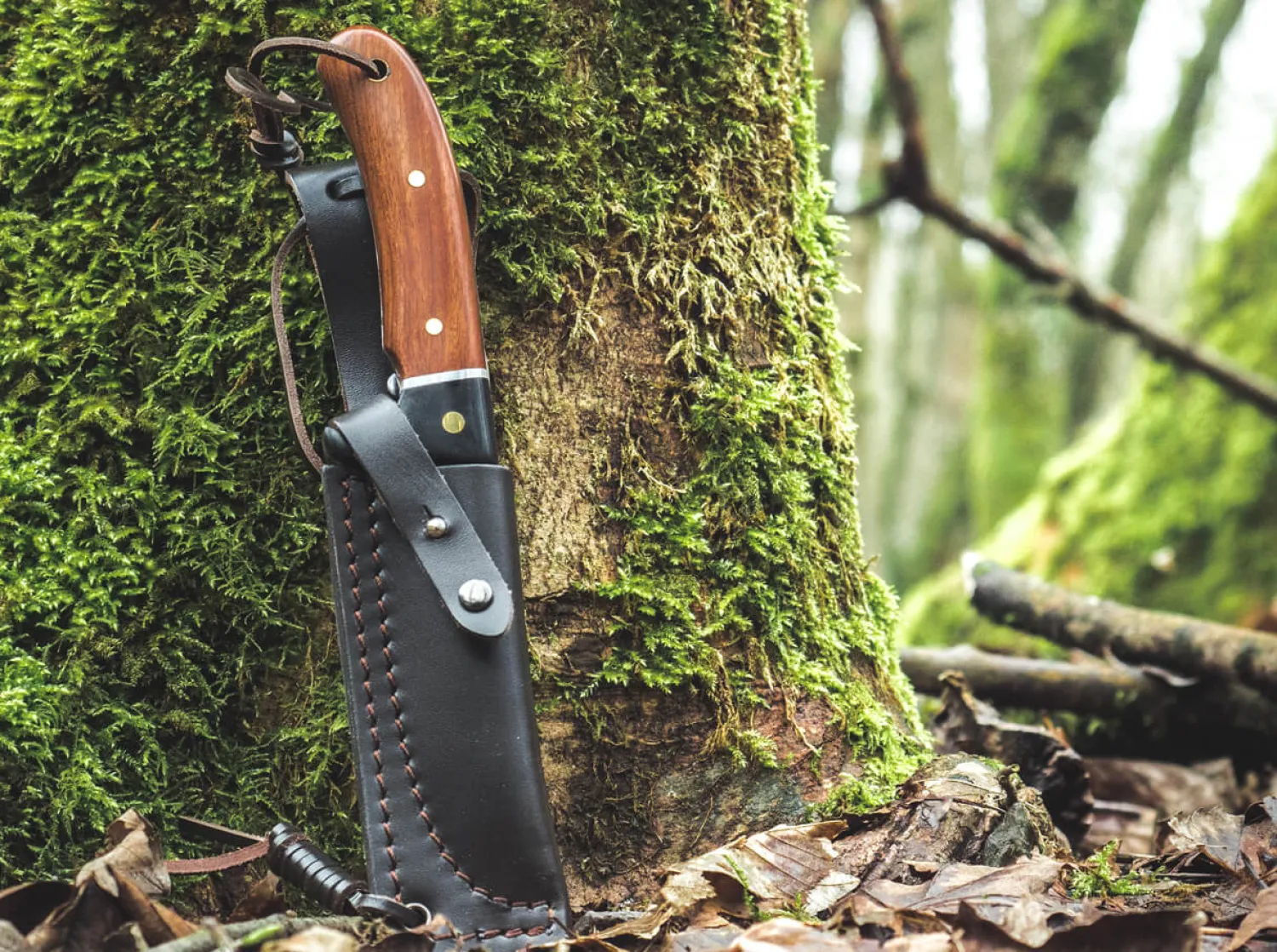 elk_hunter_special_8-1.webp Magnum Elk Hunter Special