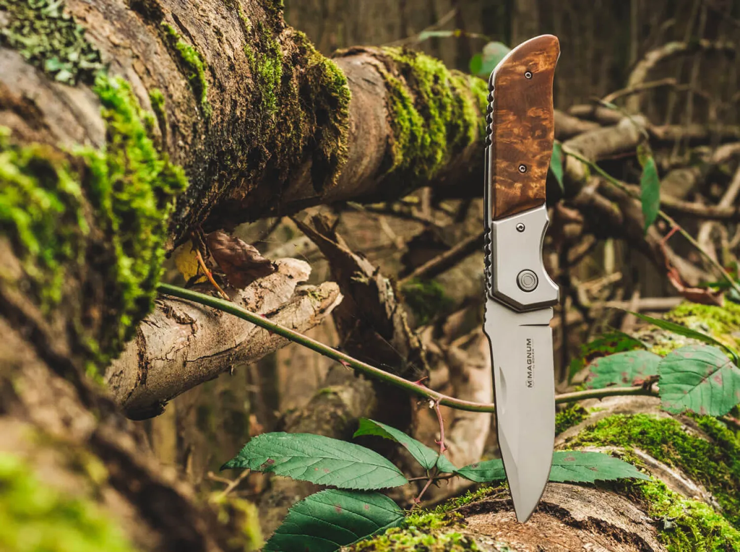 forest_ranger__2-2.webp Magnum Forest Ranger 42