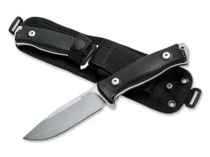 LionSteel M5 G10 Satin