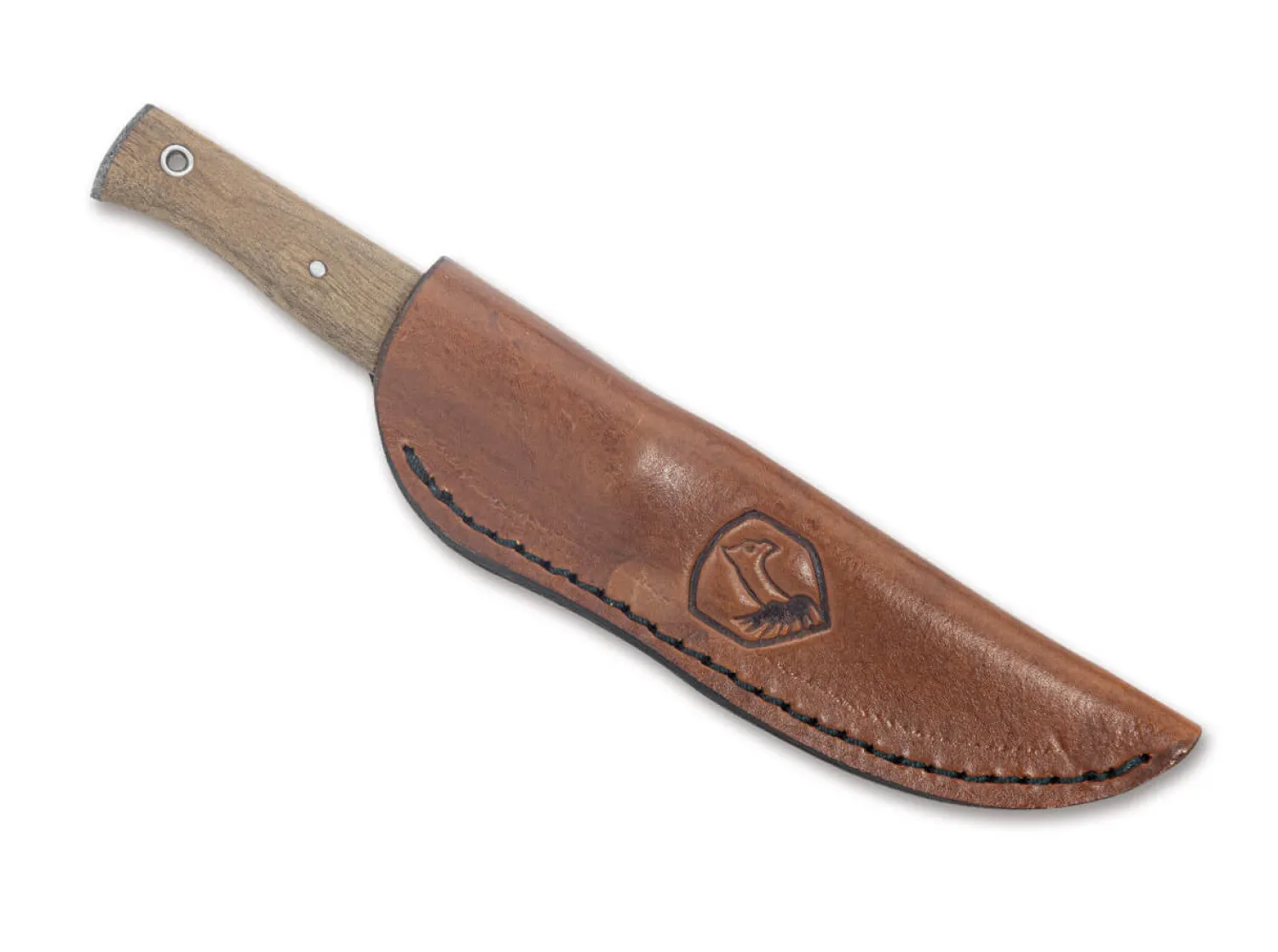 narrowsaur_knife_1.webp Condor Narrowsaur Knife