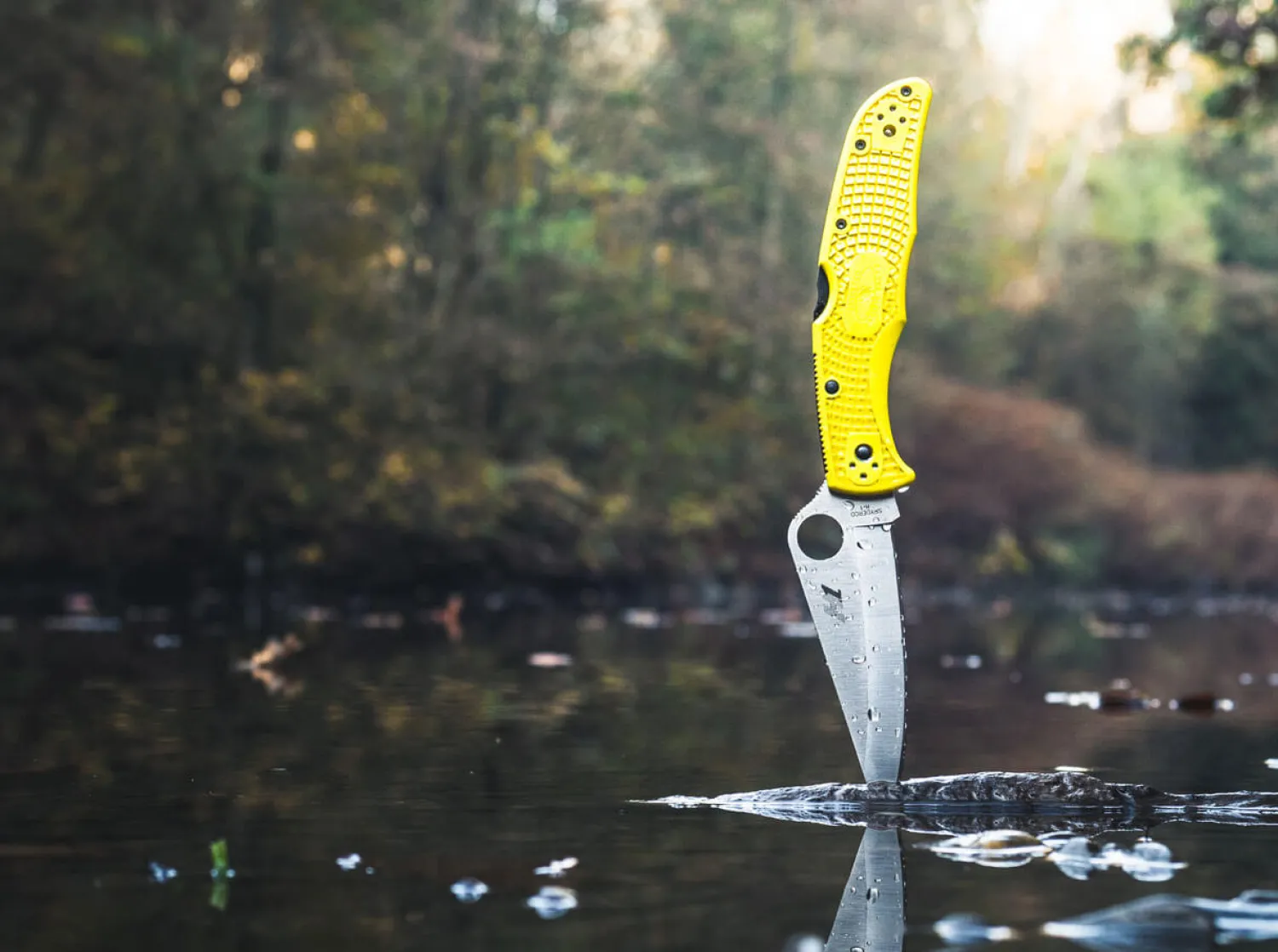 pacific_salt__yellow_3.webp Spyderco Pacific Salt 2 Yellow