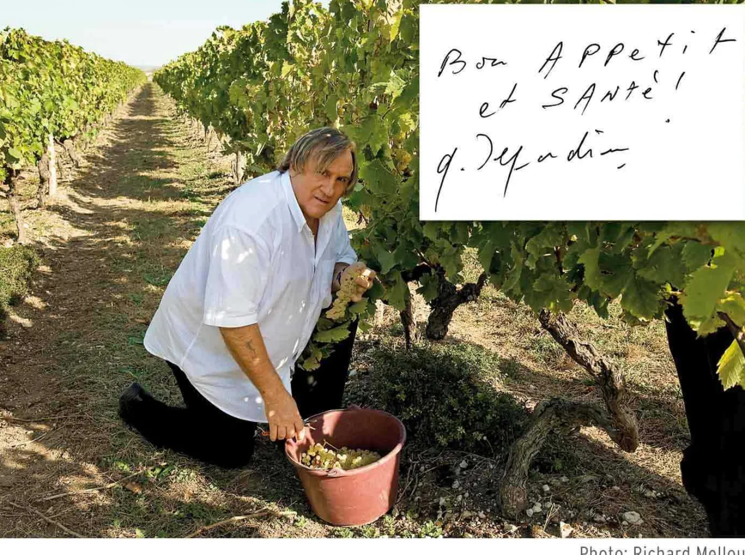 sommelier_capucin_grard_d_2.webp Claude Dozorme Sommelier Capucin Gérard Depardieu