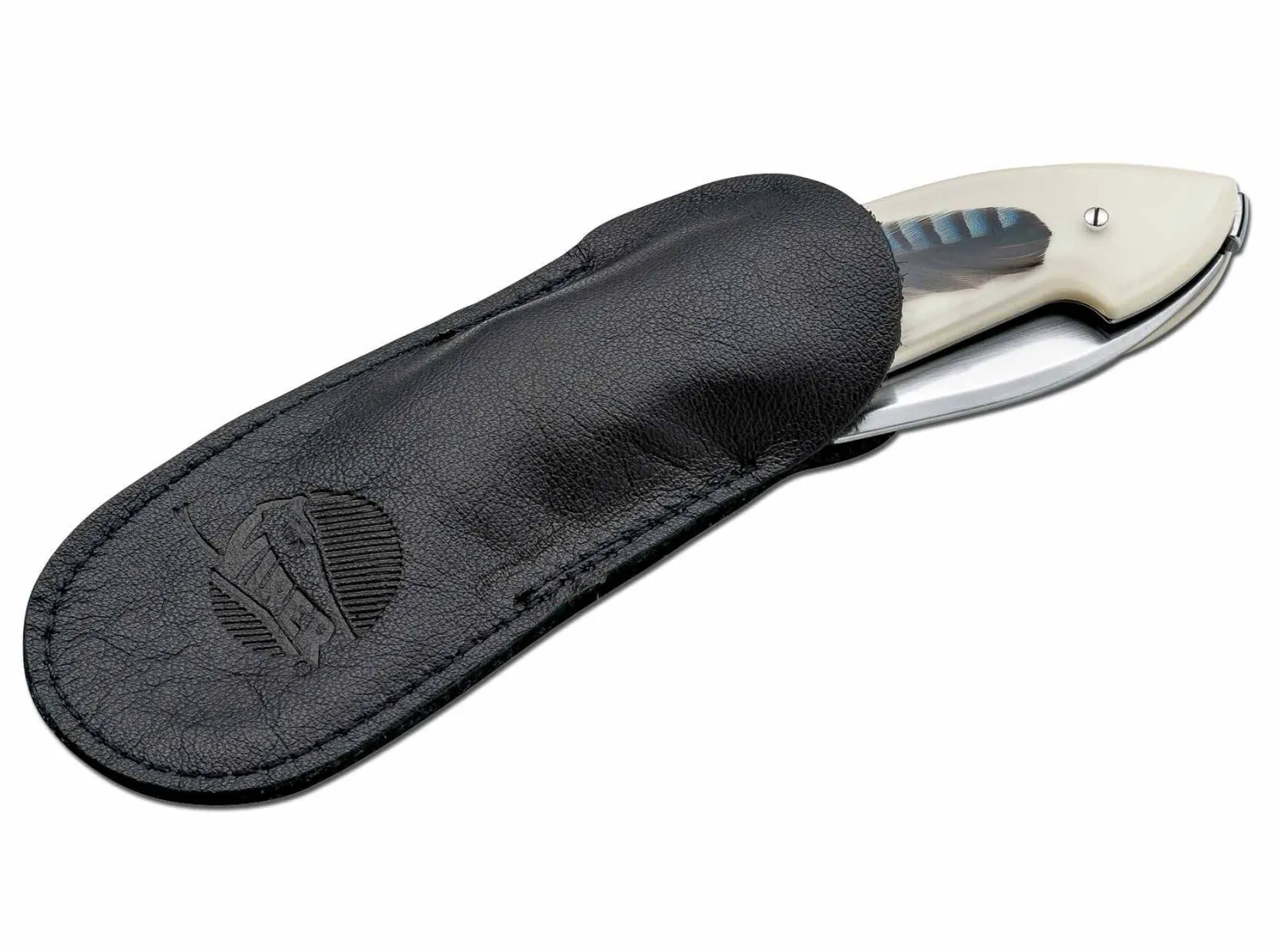 timeless_piuma_eichelhher_1.webp Viper Timeless Piuma Eichelhäher