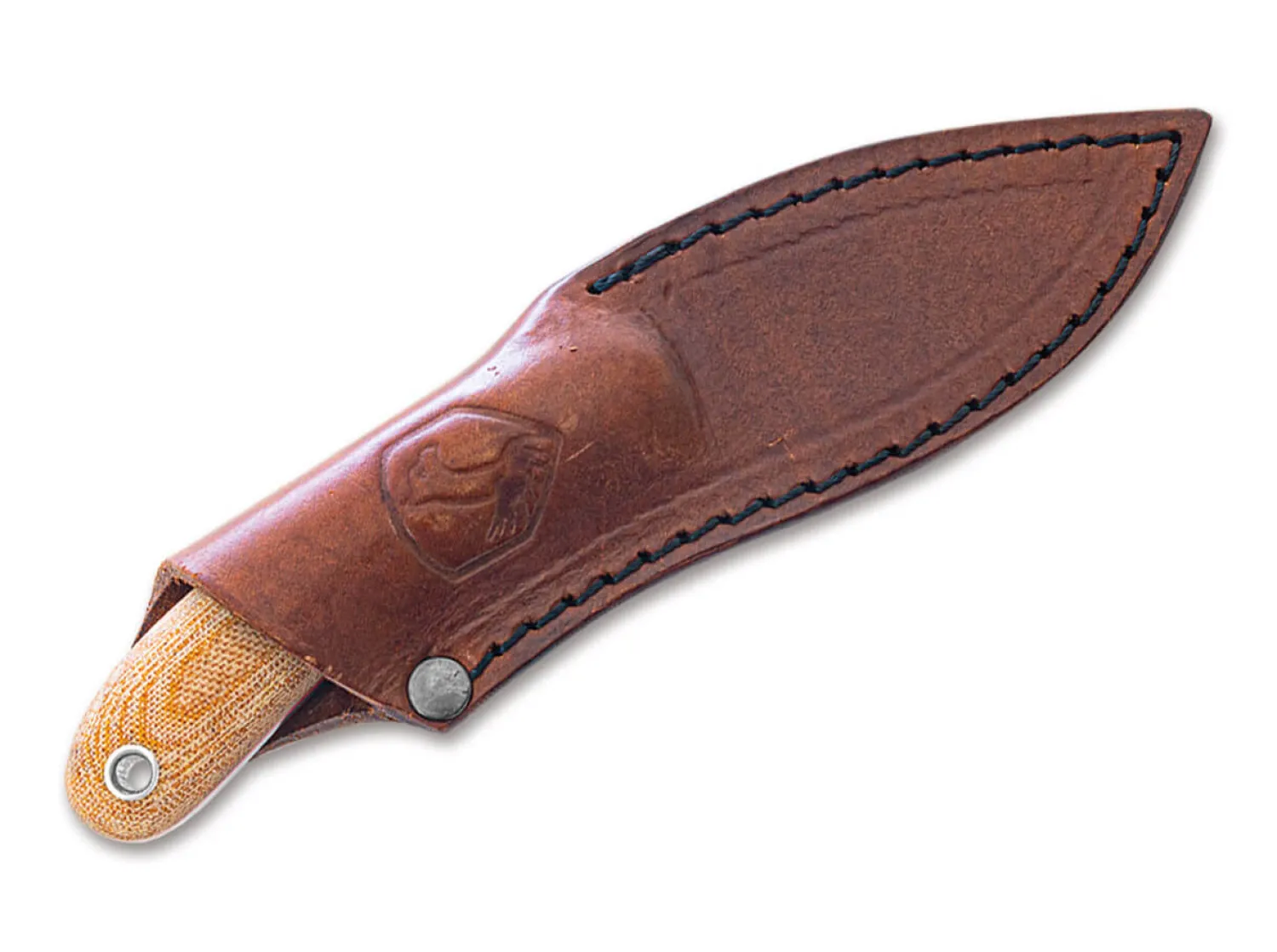 zolya_knife_1-1.webp Condor Zolya Knife